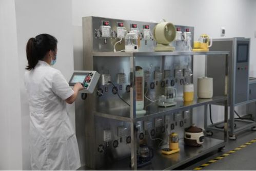 以用戶為中心，小熊電器差異化創新引領品質生活新篇章